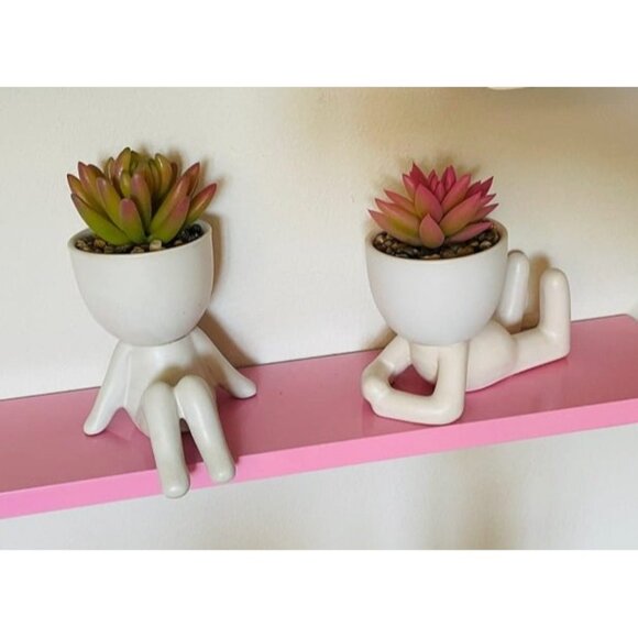 New Fake Succulent, Mini Succulents Plants Artificial in White Modern Human - Picture 1 of 1